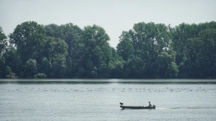 drina