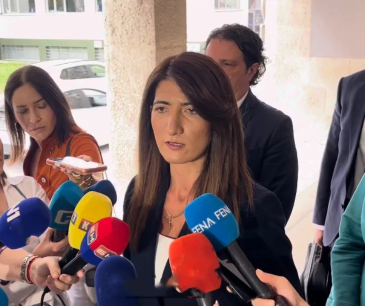 HDZ Bi H Darijana Filipovic Izbori 2026