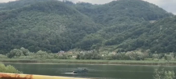 Zvornik