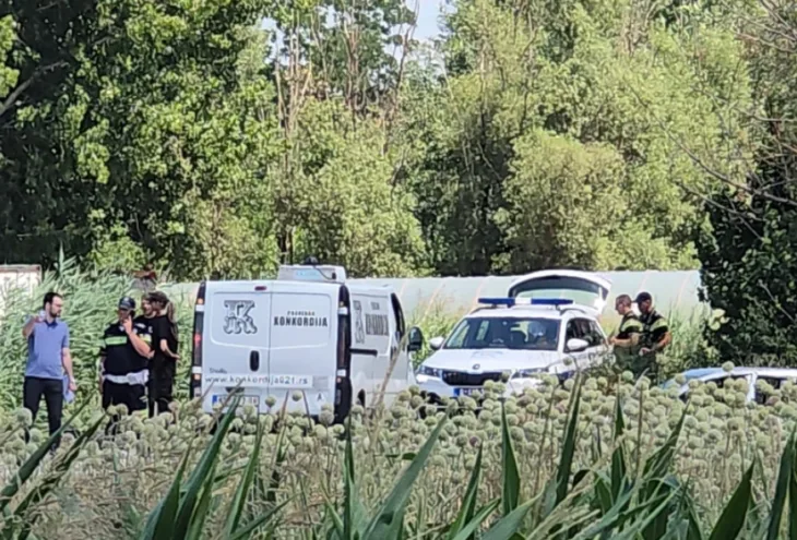 Novi sad tijela auto