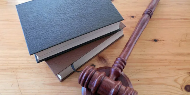 Cekic sud presuda pixabay