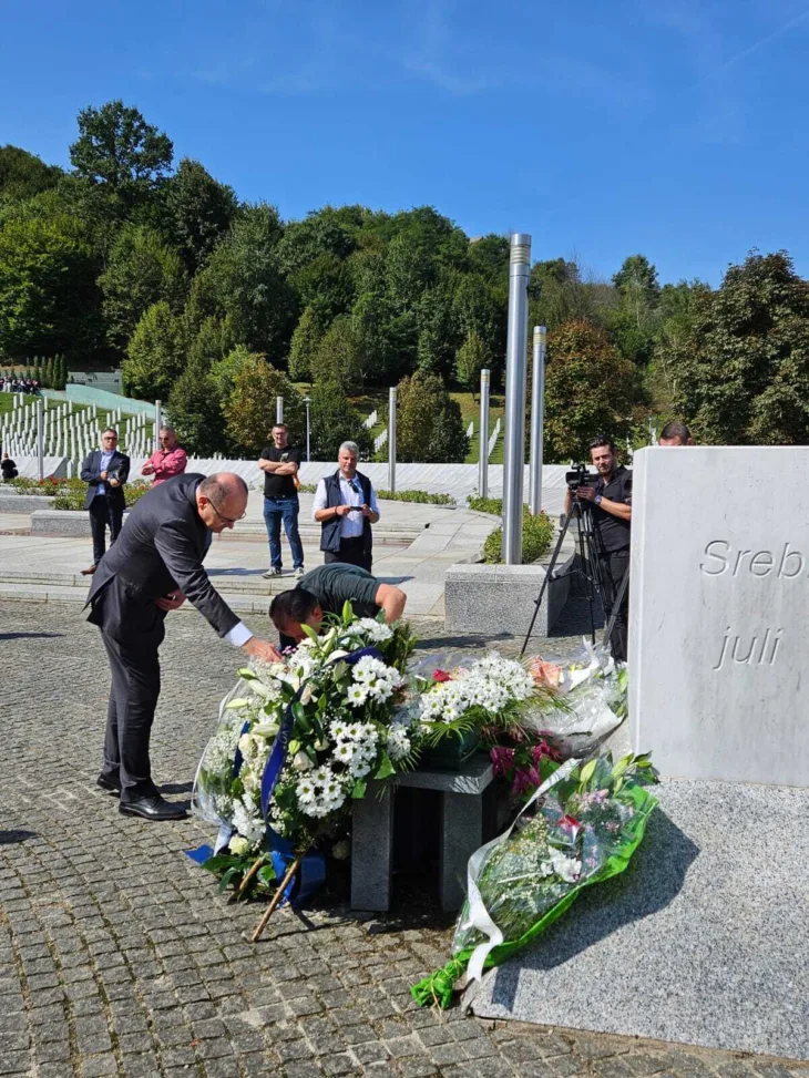 Schmidt srebrenica