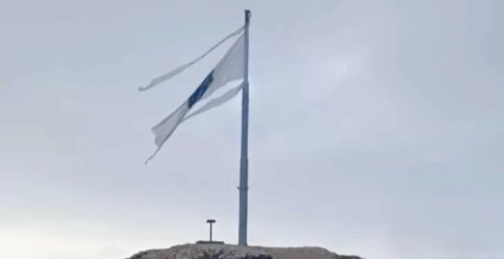 Zastava sa ljiljanima/ Vlasic