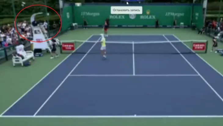 Tenis