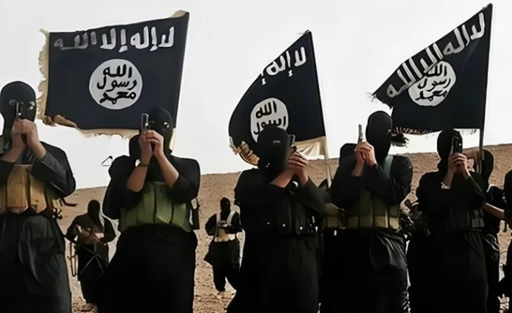 Al Qaida