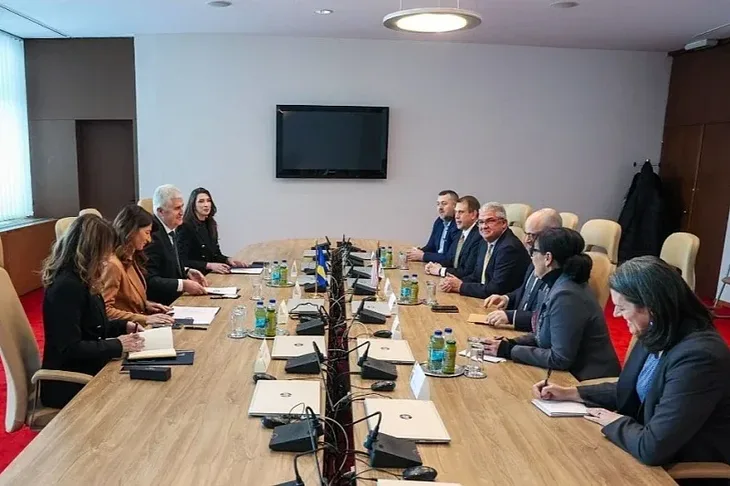 Dragan Covic Juzna interkonekcija John Ginkel