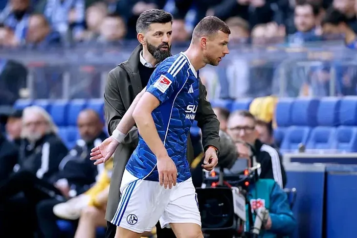 Edin Dzeko Schalke 04 Miron Muslic