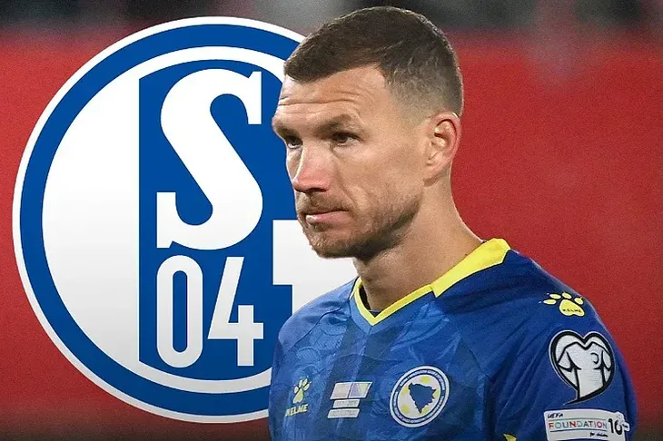 Edin Dzeko Schalke 04