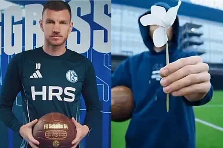 Edin Dzeko Schalke 04