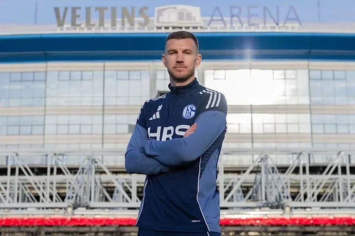 Edin Dzeko Schalke 04