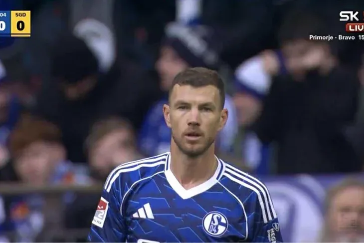 Edin Dzeko Schalke 04