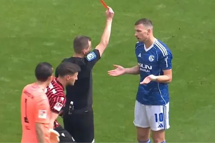 Edin Dzeko Schalke 04