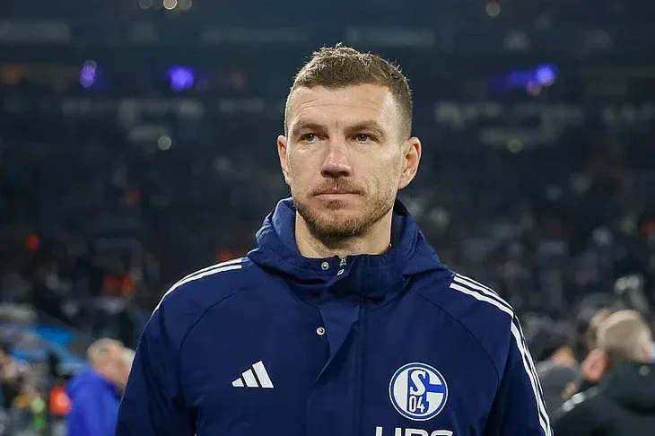 Edin Dzeko Schalke 04