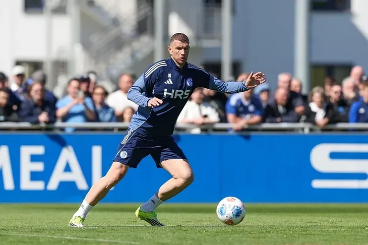 Edin Dzeko Schalke