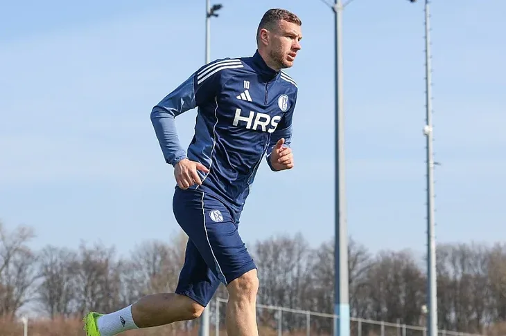 Edin Dzeko Opravlja se Schalke 04