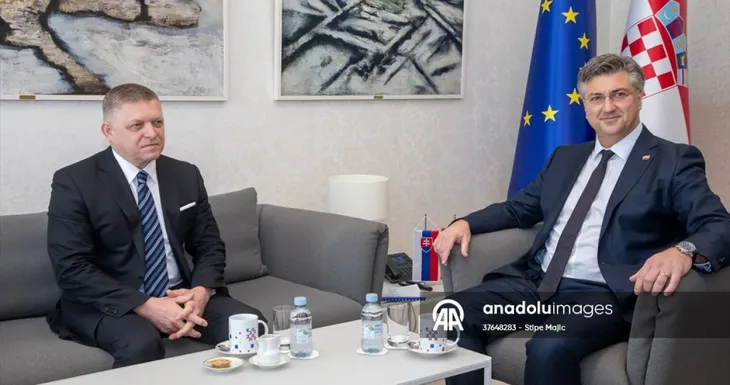Fico plenkovic