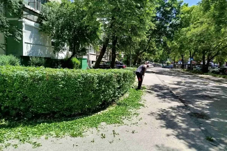 Novo sarajevo zelene povrsine ciscenje