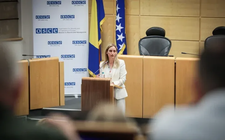osce bih