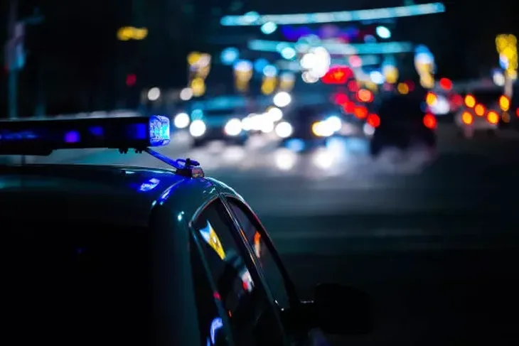 policija francuska