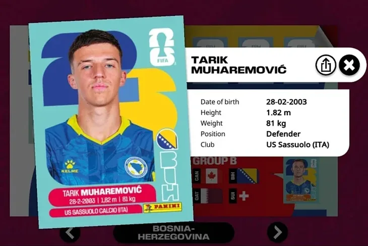 Tarik Muharemovic Panini