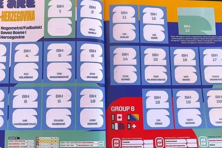Panini album