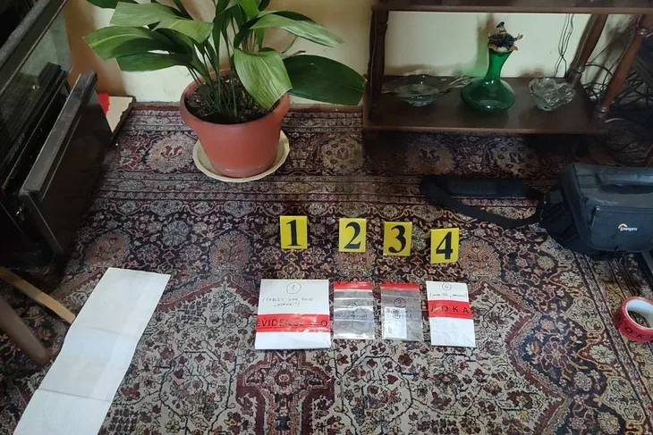 Mip rs pornografija