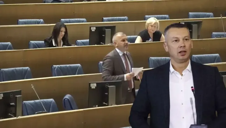 Nenad Nesic zastupnicki dom Faktor