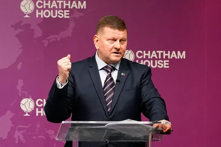 Valerij Zaluzni
