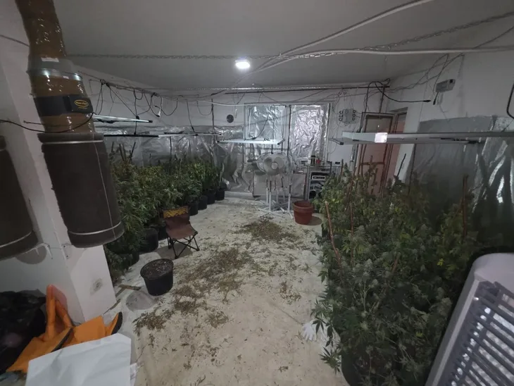 Velika zapljena MUP a KS na Ilidza U tri laboratorije pronadeno 280 stabljika marihuane i 33 kg gotovog proizvoda