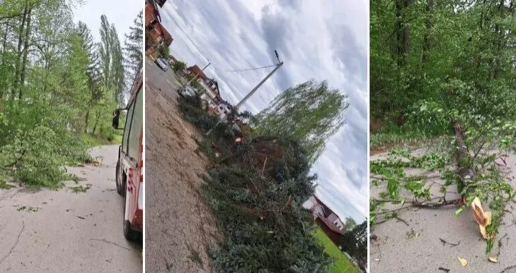 Vjetar u bh gradu cupao stabla i lomio grane Vatrogasci na terenu
