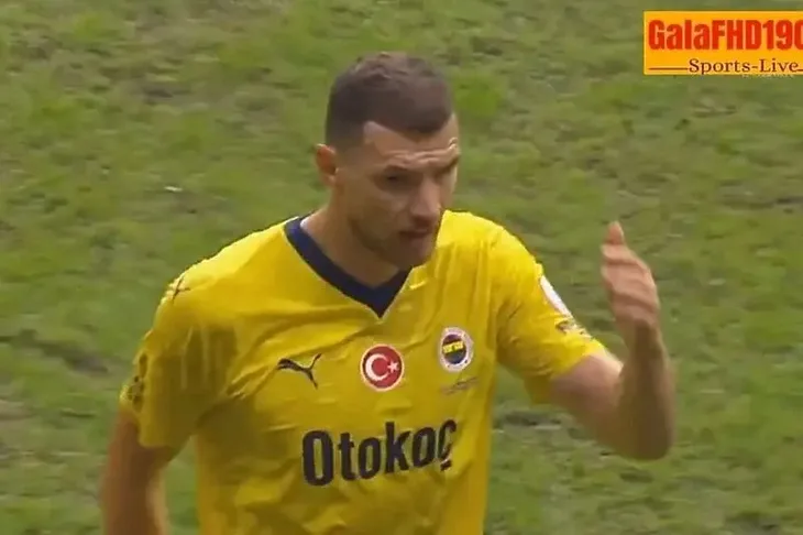 edin dzeko