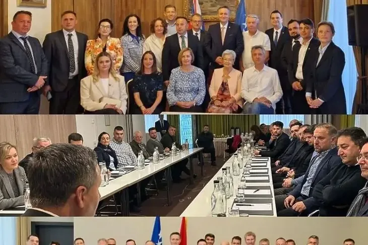 Denis Bećirović dijaspora