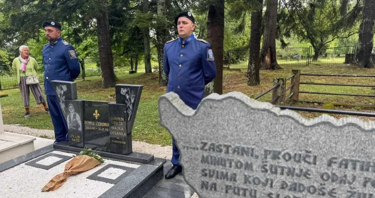 Cedomir domuz