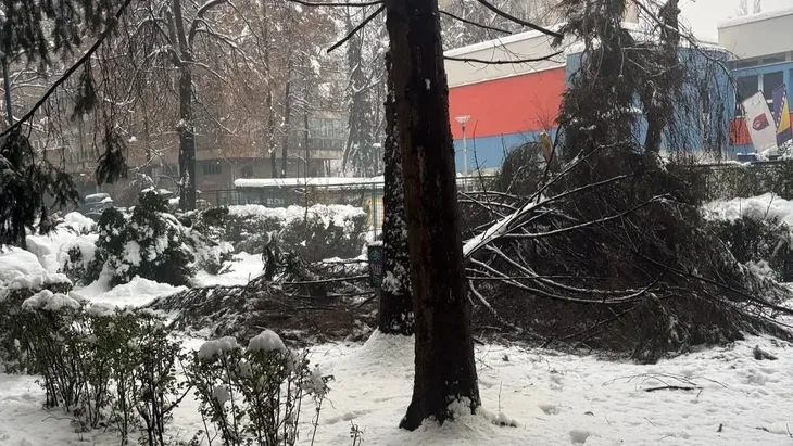 Grbavica kolajpg 1200