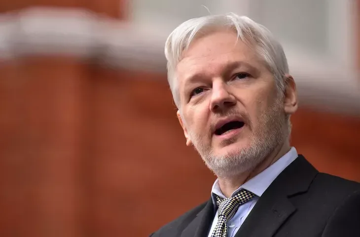 Julian assange Wire