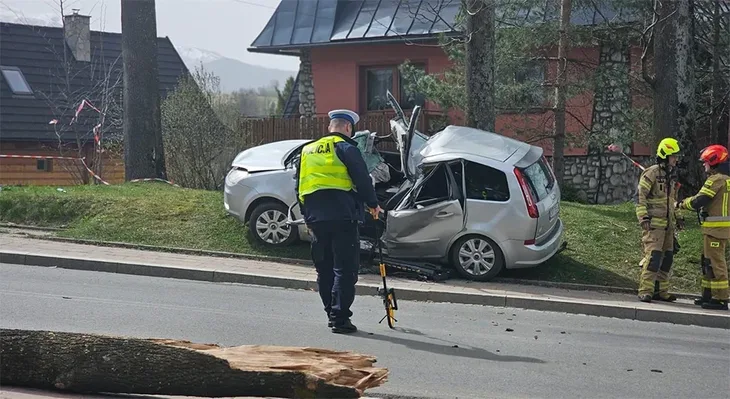 Nesreca poljska