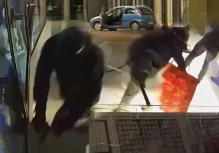 Pljcka zlatare 872x610