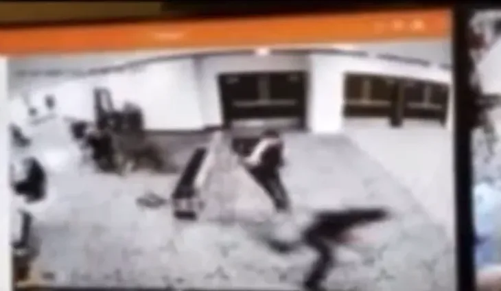 Sad pucnjava bijela kuca