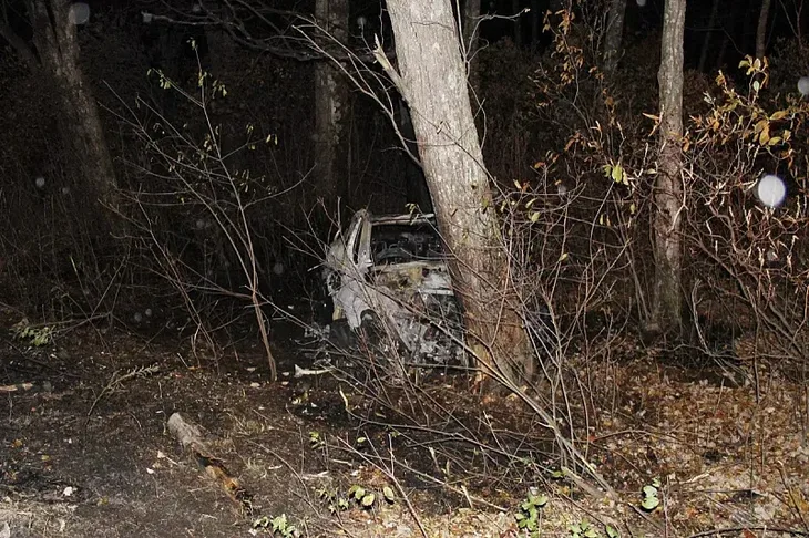 Saobracajna nesreca pozar Tesla Tesla Model Y