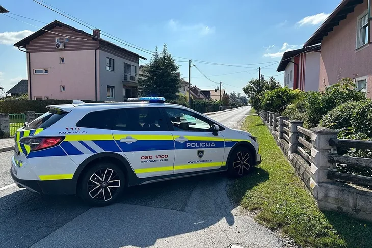 Slovenija policija