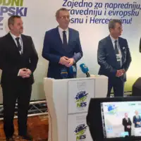 NES BiH