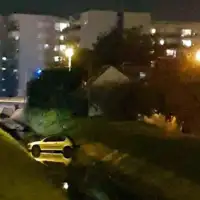 Pzn