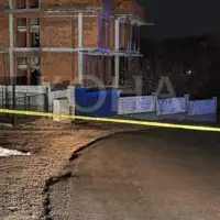 Kosovo ubistvo zene picoli