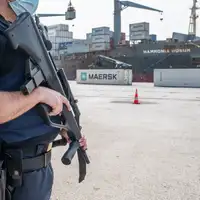 zapljena mafija profimedia