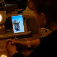 Vjestacka inteligencija Al Robot FENA