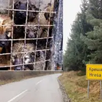 Hresa naslovna