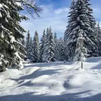 Jahorina