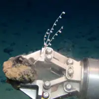 Deep sea mining
