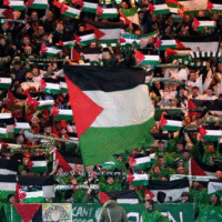Palestina Profimedia