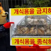 Psece meso Južna Koreja